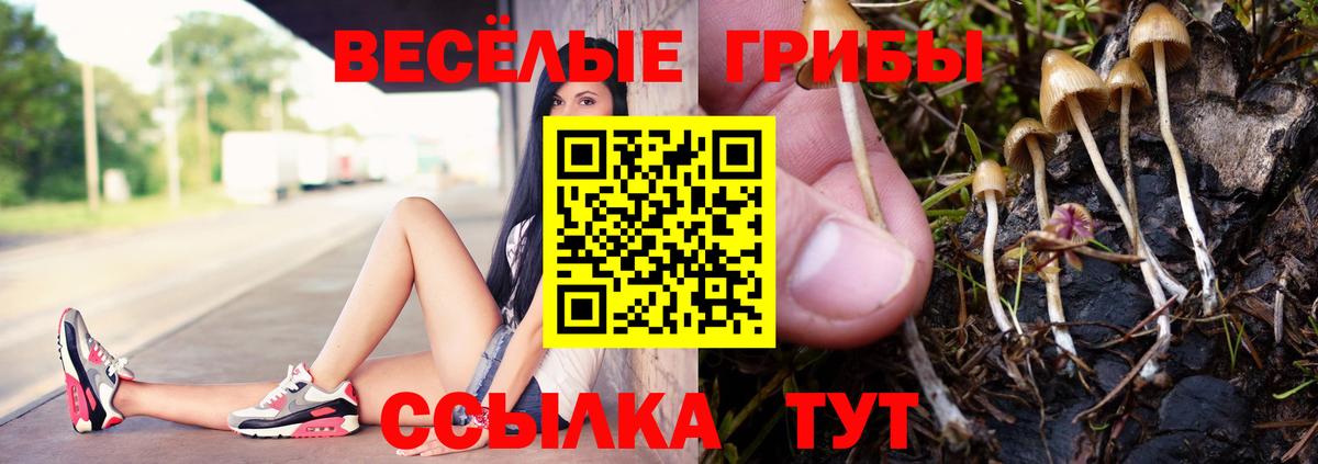 Галлюциногенные грибы Psilocybe  Псилоцибиновые грибы GOLDEN TEACHER  хочу наркоту  Вход с VPN  Ставрополь 