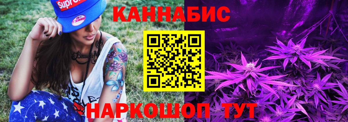 Марихуана сатива Ставрополь